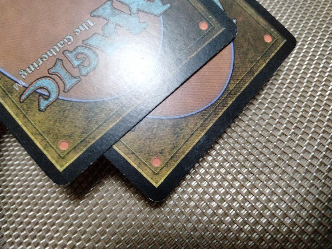 【ご確認用】ダークスティール レオニンのシカール 日本語 1枚 MTG ご確認用】ダークスティール レオニンのシカール 日本語 1枚 MTG