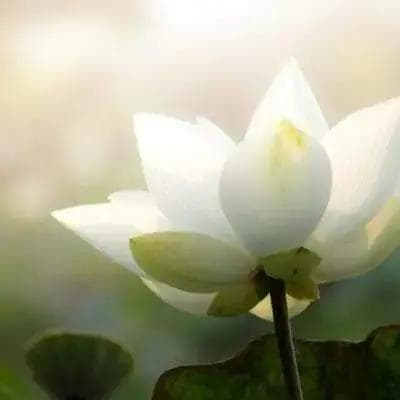 最高峰波動修正◆ご希望の未来と理想を現実に実現・叶えます【毎月10名様限定】 最高峰波動修正◆ご希望の未来と理想を現実に実現・叶えます【毎月10名様限定】