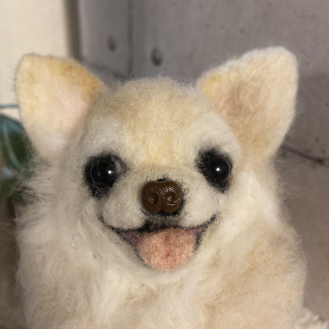 羊毛フェルト　たチワワ　犬