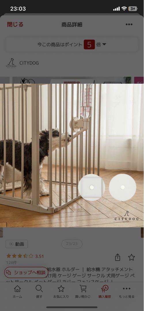 ✿ CITYDOG