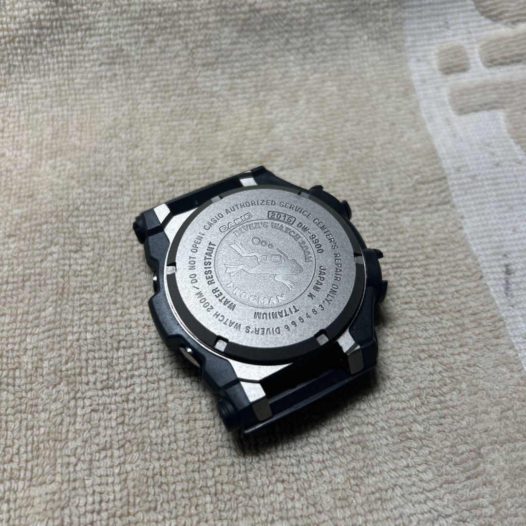 フロッグマン