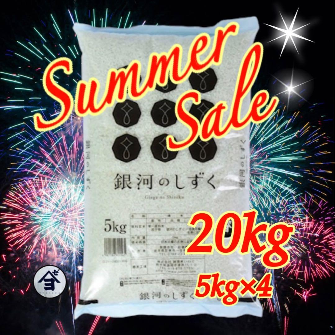お米　特別限定価格！【岩手県産銀河のしずく20kg 】5kg×4 6年連続特A！