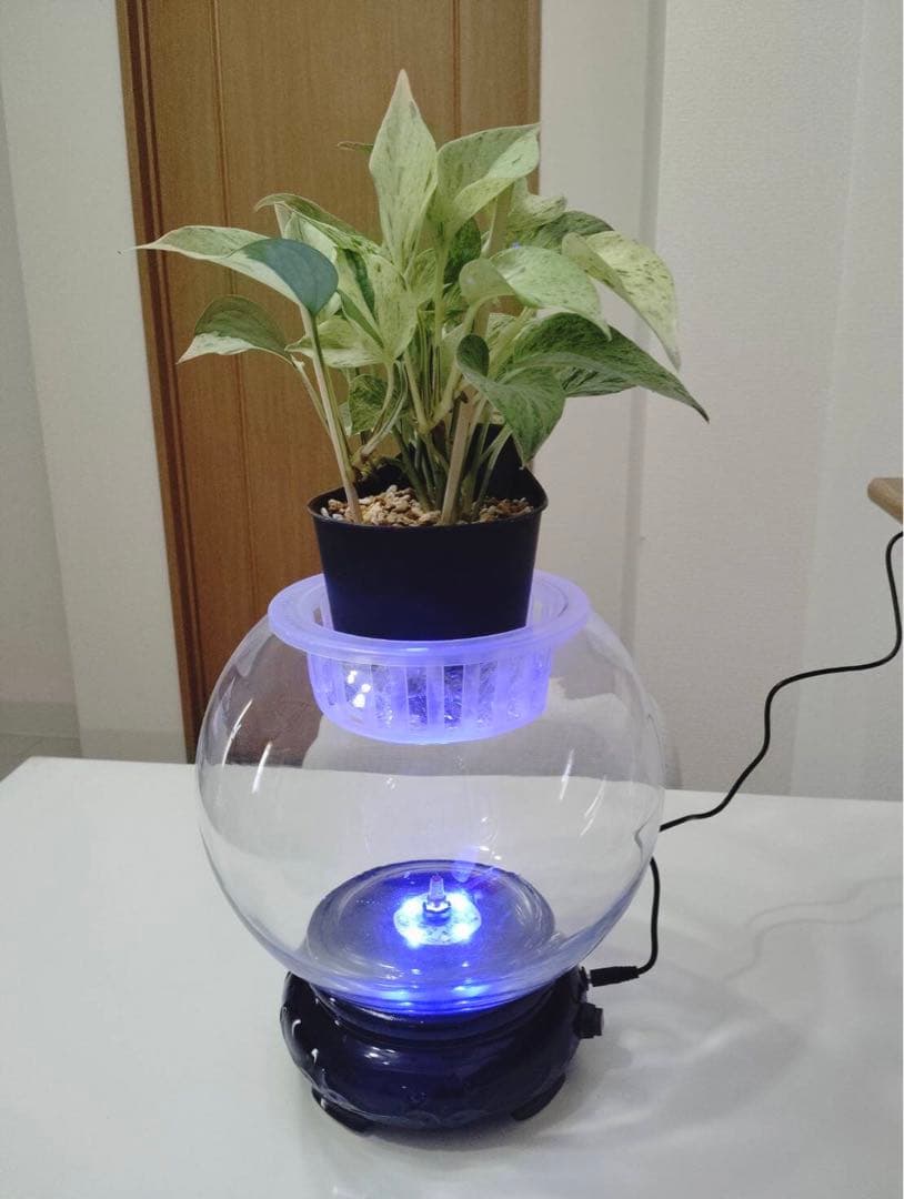 ❇️ガラス球体水槽 ❇️3色LEDエアーレーション　❇️熱帯魚、金魚、水草、流木　観賞 ❇️ガラス球体水槽 ❇️3色LEDエアーレーション ❇️熱帯魚