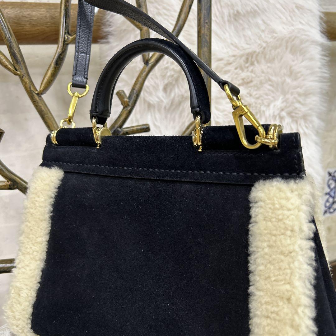 ❣️ドルチェ&ガッパーナ　シシリー2Wayバック美品