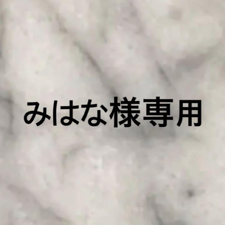 みはな様専用
