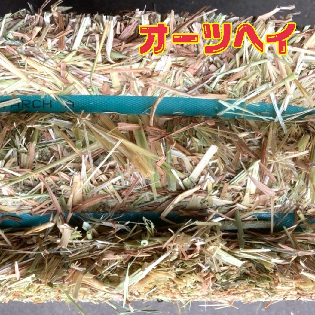 ゆり　オーツヘイ 20kg ☆スーパープレミアム☆オーストラリア産