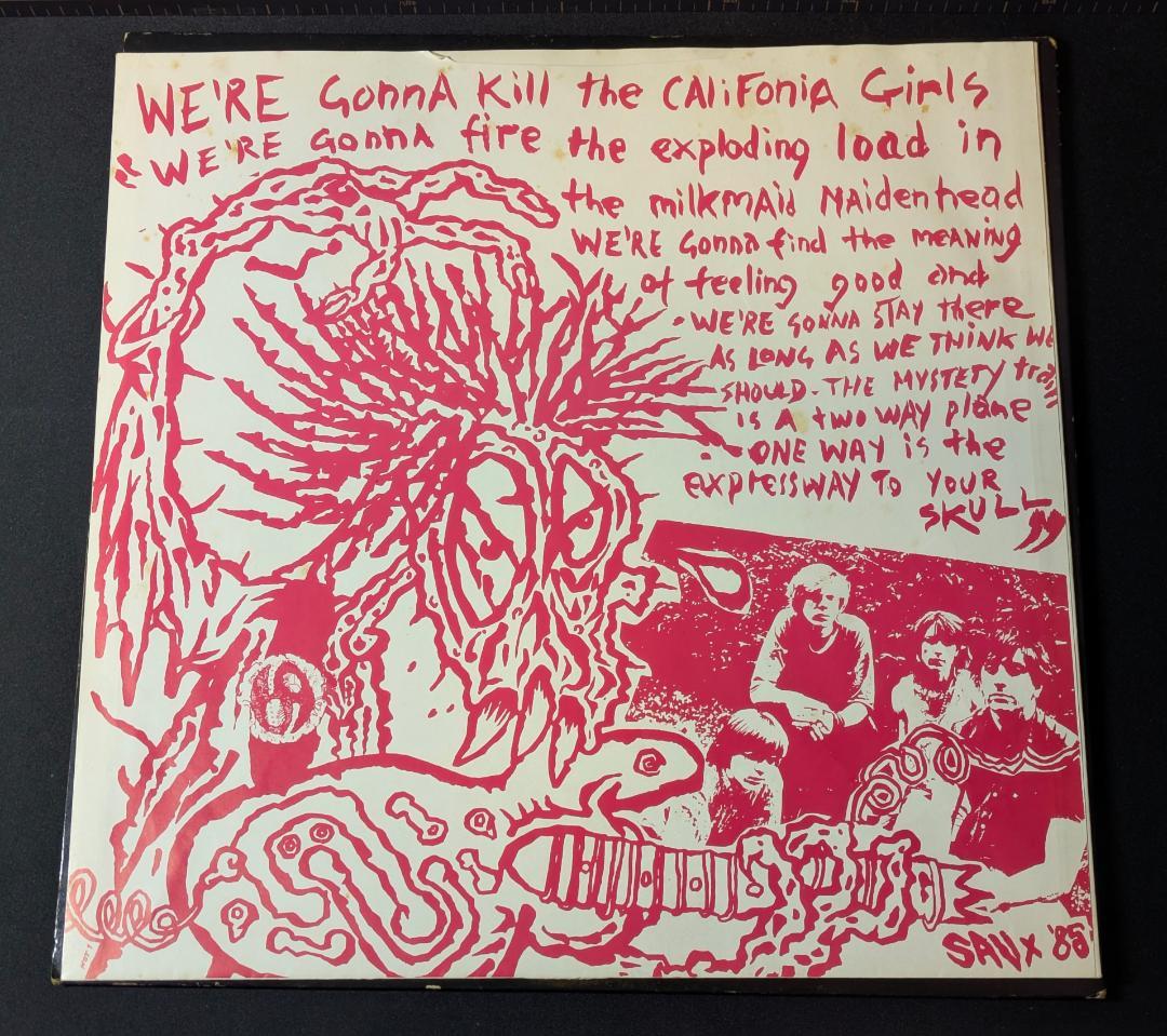 シリアル入りオリジナル盤 Sonic Youth Walls Have Ears