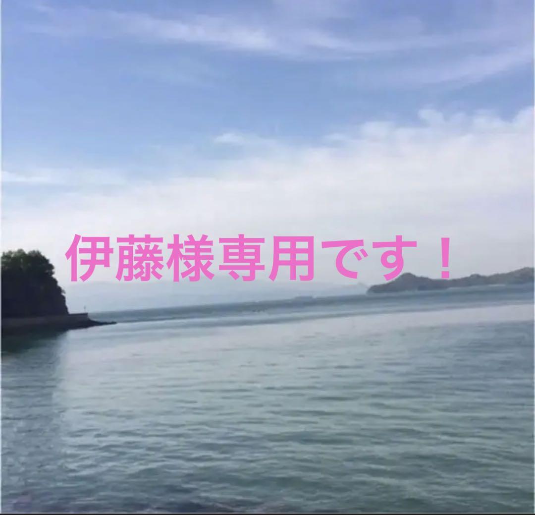 広島県産レモン10キロ（農薬：栽培期間中不使用）化学肥料不使用