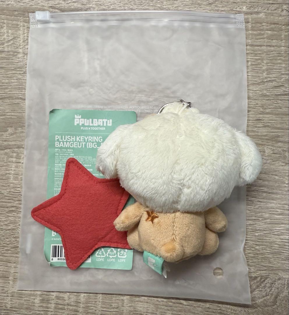 TXT ppulbatu 日本 ポップアップ POP UP キーリング バムグッ