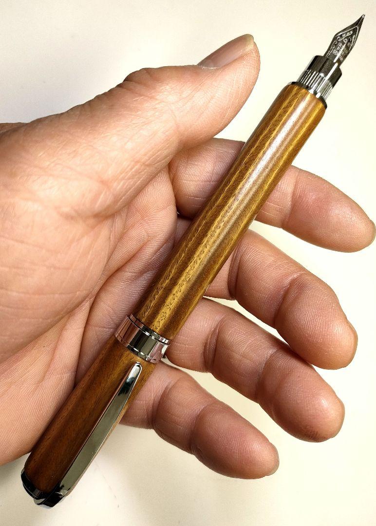 世界一硬い木【リグナムバイタ】グラデュエイト万年筆 - 文房具