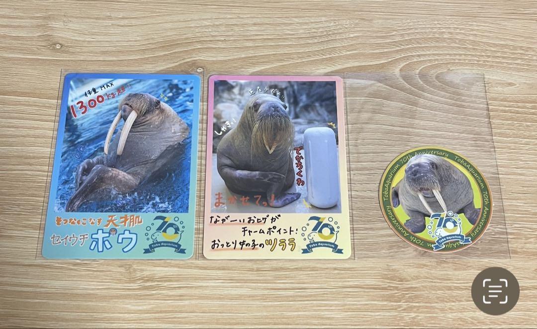 鳥羽水族館 70周年記念カード 未開封 トレーディングカード 10個セット 鳥羽水族館 70周年記念カード コレクションカード 10個セット