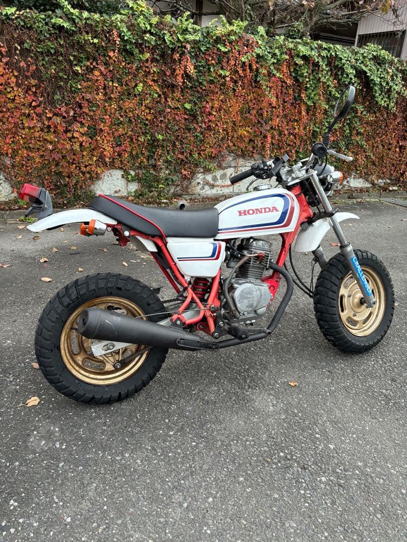 エイプ50 ape50 50cc 原付 ミニバイク 茨城 栃木 エイプ50 ape50 50cc 原付 ミニバイク 茨城 栃木