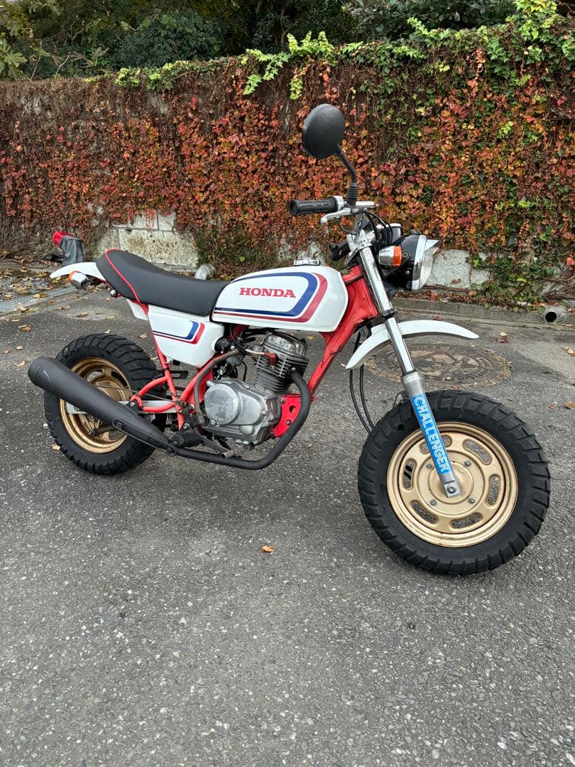 エイプ50 ape50 50cc 原付 ミニバイク 茨城 栃木 エイプ50 ape50 50cc 原付 ミニバイク 茨城 栃木