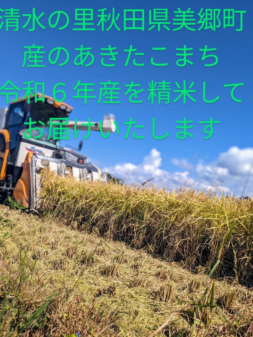 gold令和６年秋田県産あきたこまち10kg