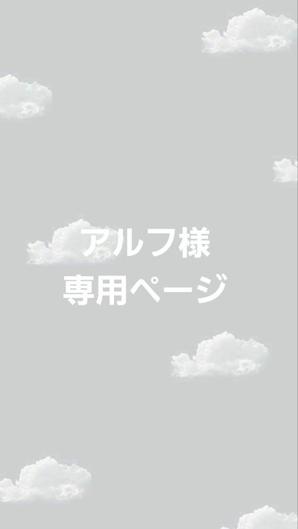 専用ページ