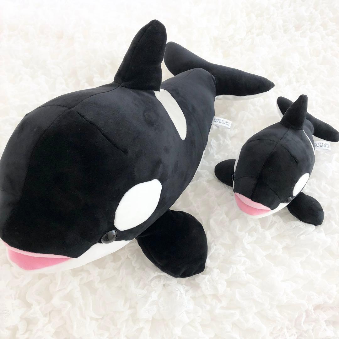 シャチ　ぬいぐるみくじ　2等 シャチ ぬいぐるみくじ 2等 Amazon.co.jp: 名古屋港水族館