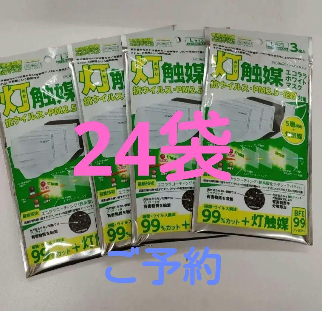 マスク　プチ贅沢な最強マスク　99%カット&灯触媒　エコララ ホワイトマスク L