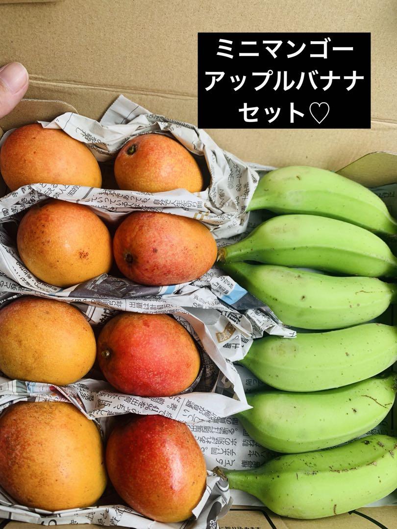 ハーバライフ (フルーティーマンゴー & バナナキャラメル & PPP)セット Amazon.co.jp: ハウス フルーチェSweets キャラメルバナナ味