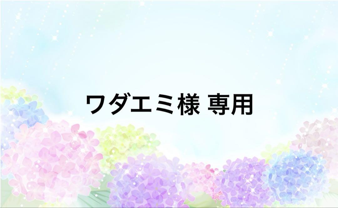 ワダエミ様 専用ページ