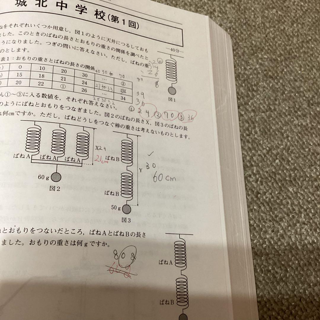 日能研 日特問題集 4科目 国算社理 2024年度版 解答解説付き