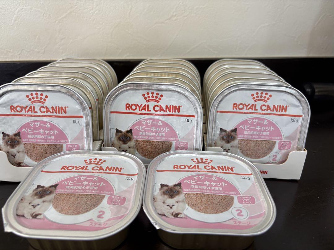 ROYAL CANIN マザー＆ベビーキャット 100g×20個　成長前期　子猫