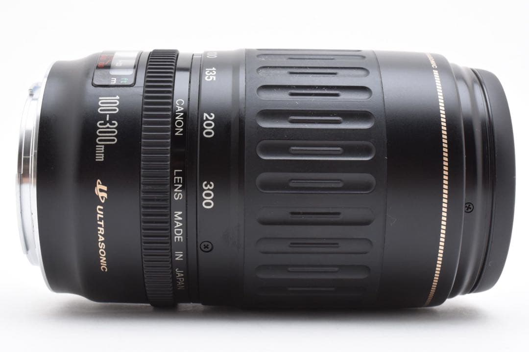 迫力の300mm Canon EF 100-300mm F 4.5-5.6 Canon-EF-100-300mm-f5.6L.jpg