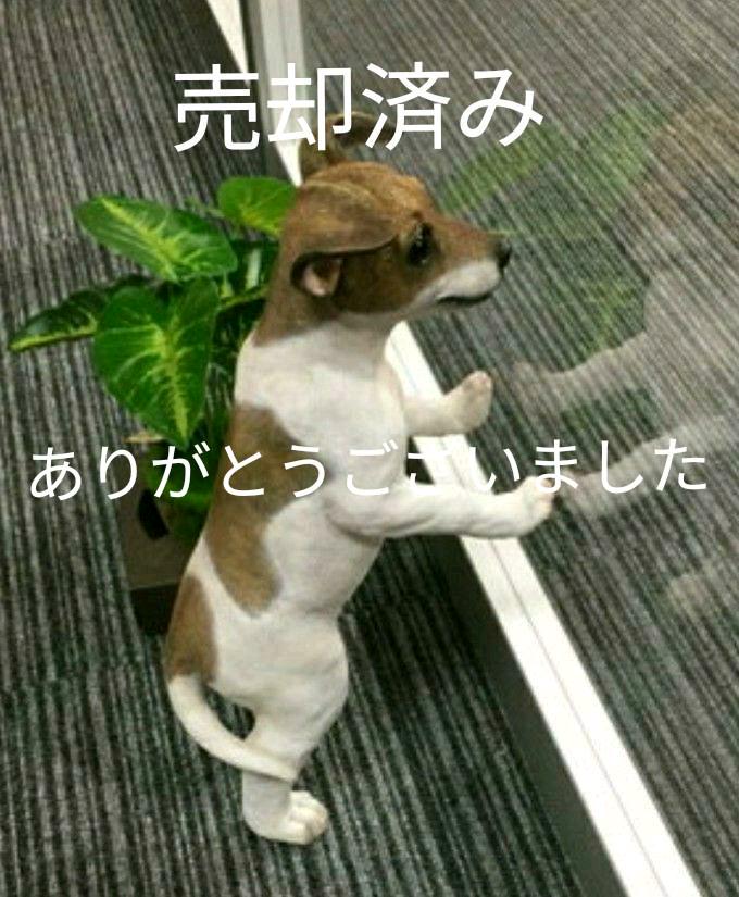 ラッセルテリアの置物
