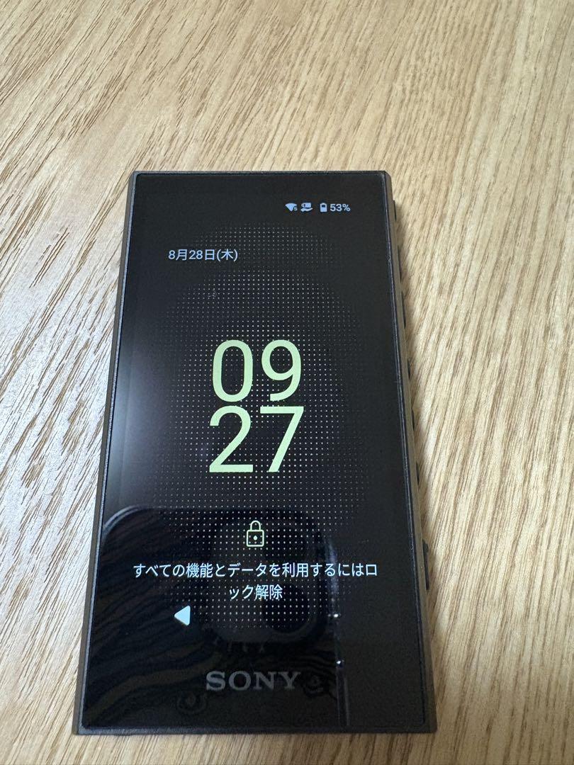 ポータブルプレーヤー SONY WALKMAN NW-A306 32GB