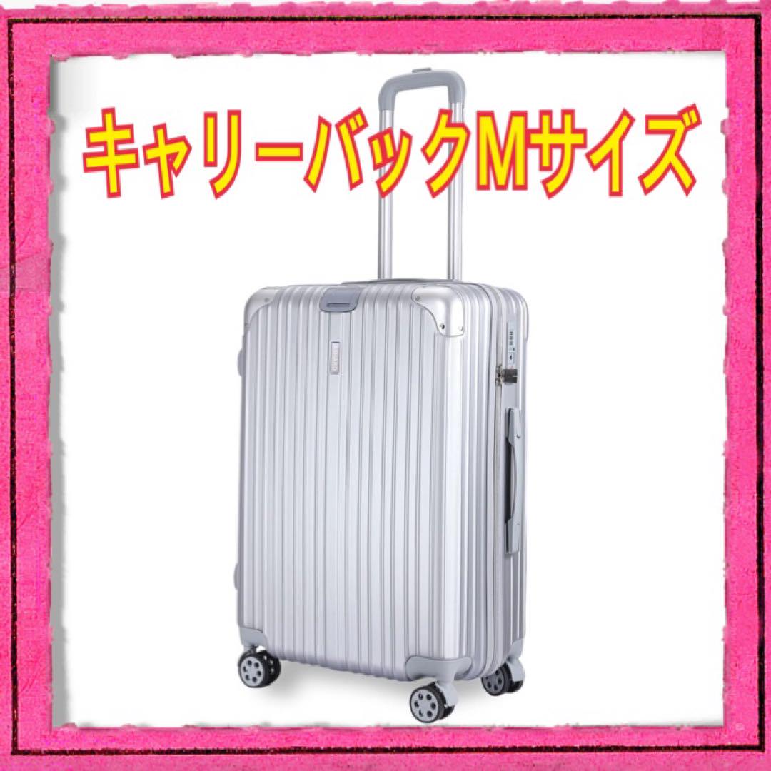 ルイヴィトン ネームタグ 6個セット