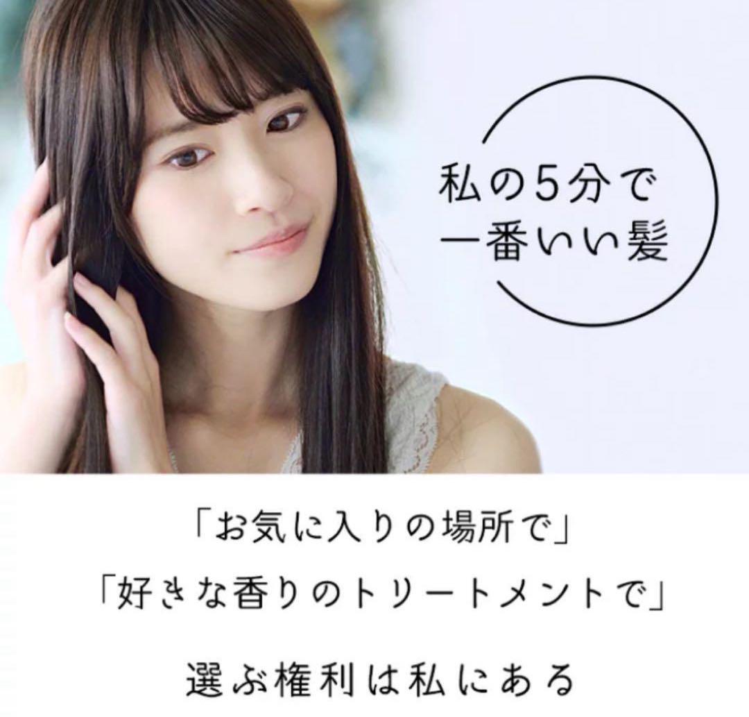 FORTUNA HAIR PLUS 超音波 ヘアトリートメント