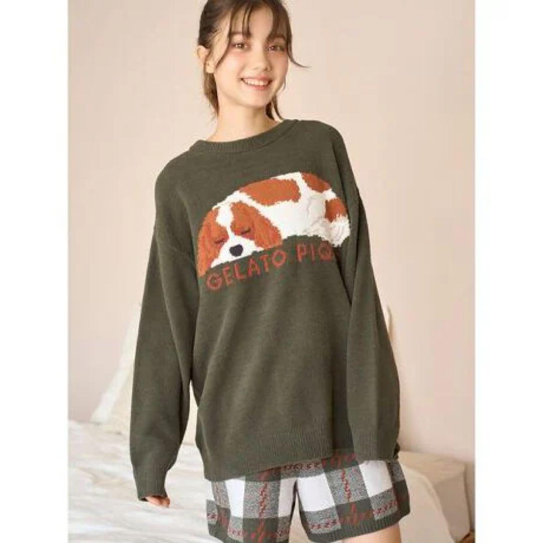 新品　ジェラートピケ　SLEEPING DOG ジャガード上下セット　キャバリア