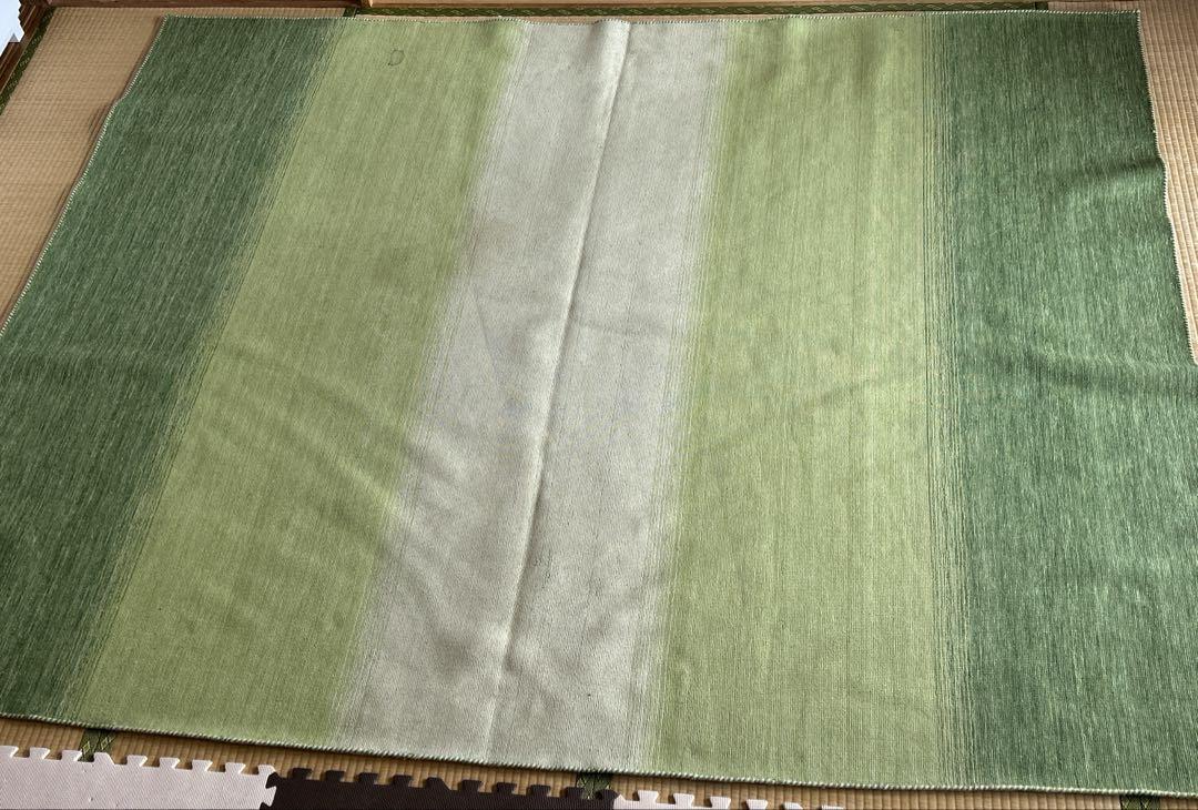 ハグみじゅうたん　tezawari LLサイズ（200×250cm） グリーン系