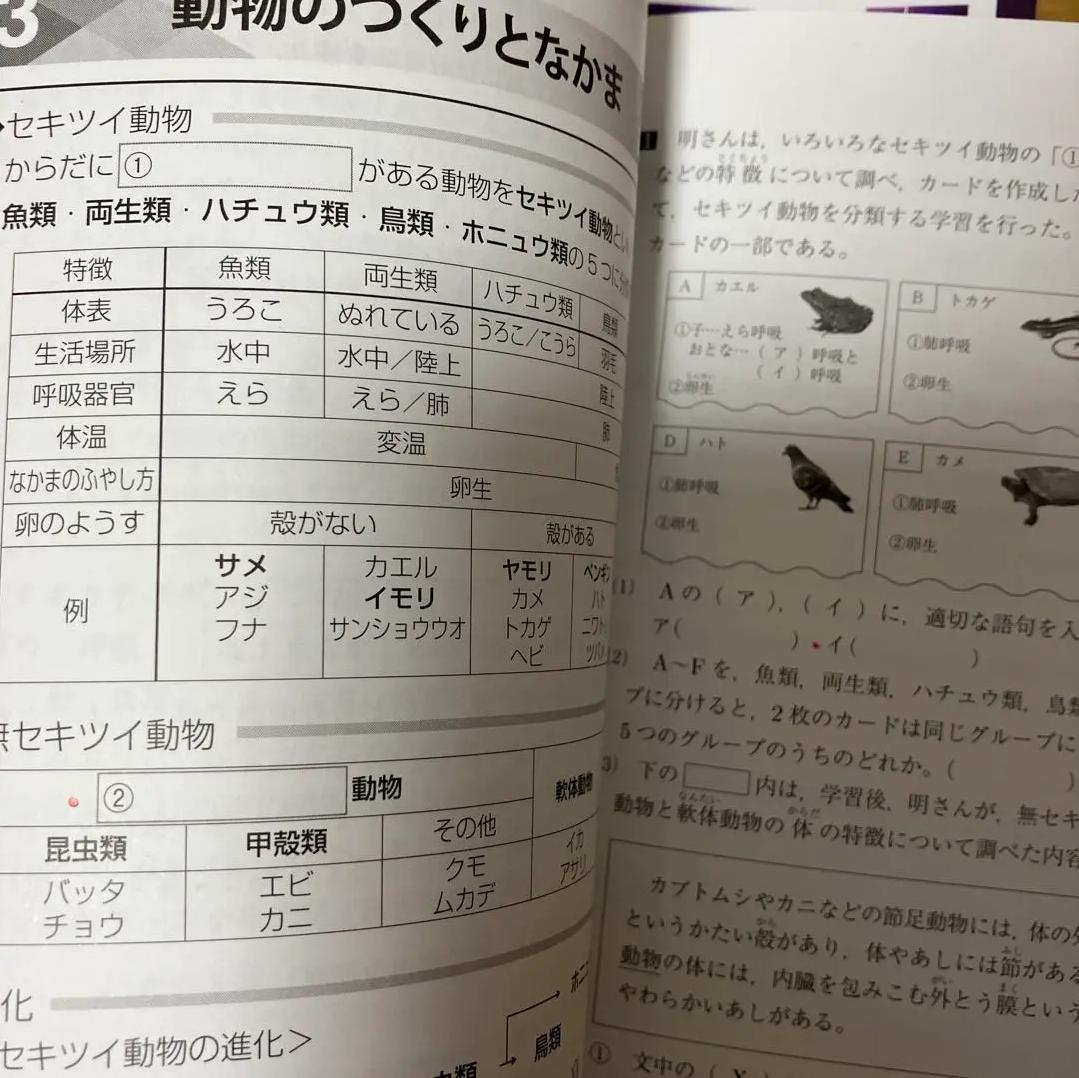 GG RP 近道問題 生物・地学、化学、物理 AH SM