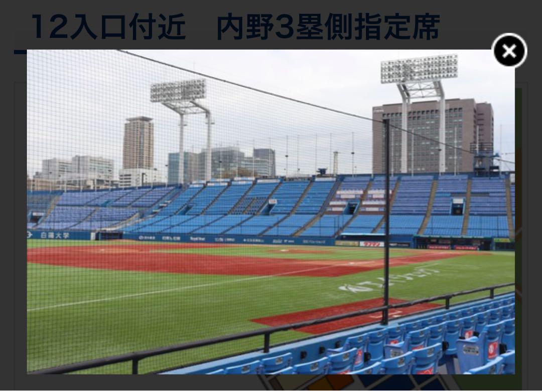 東京ヤクルトスワローズ vs 横浜DeNAベイスターズ 8/12 ペア