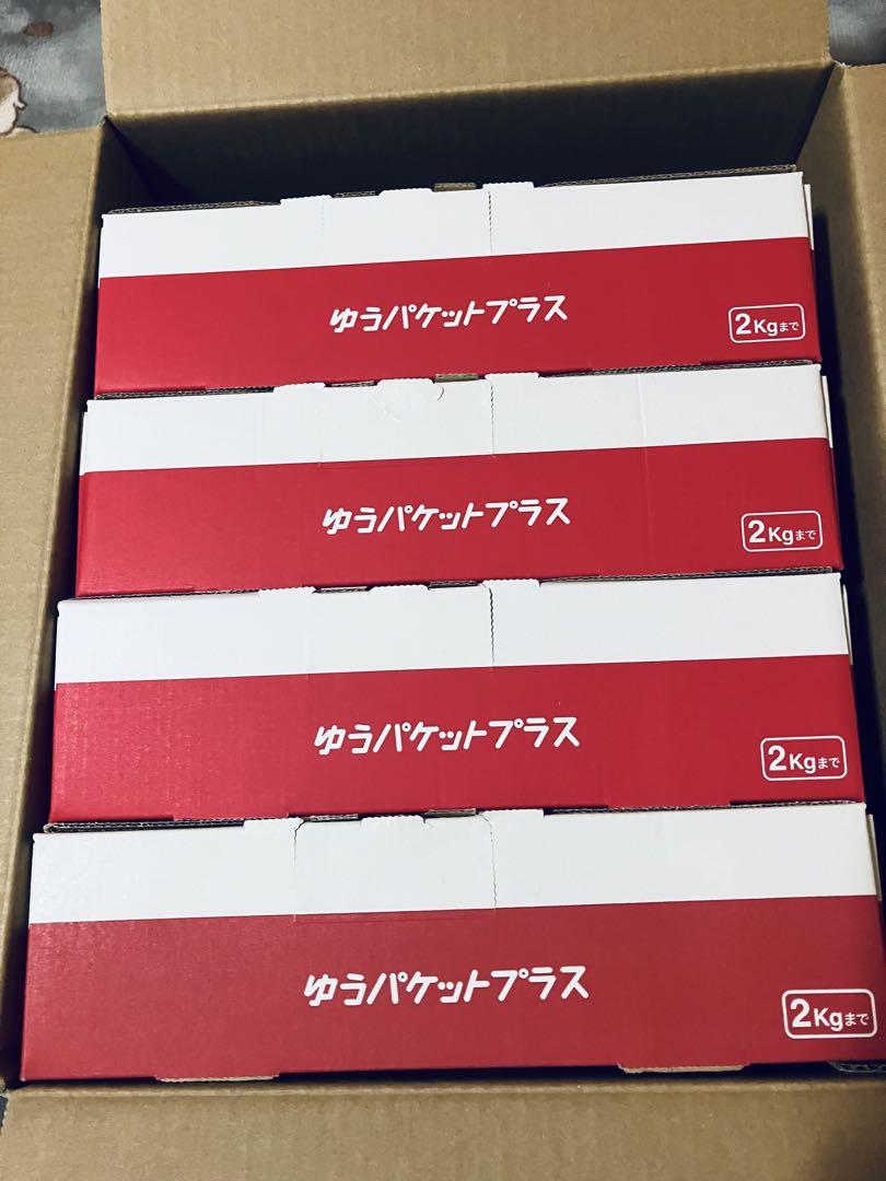 mtg まとめ売り　フルfoil統率者デッキ1組　カジュアルデッキ1組　その他 mtg まとめ売り フルfoil統率者デッキ1組 カジュアルデッキ1組