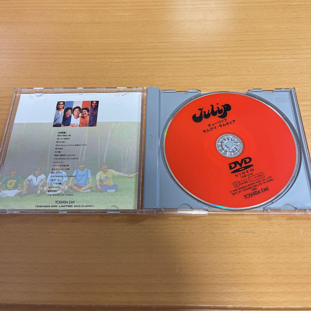 爆買い大得価 DVD チューリップ Someday Somewhere 4JABp-m13811451689 得価