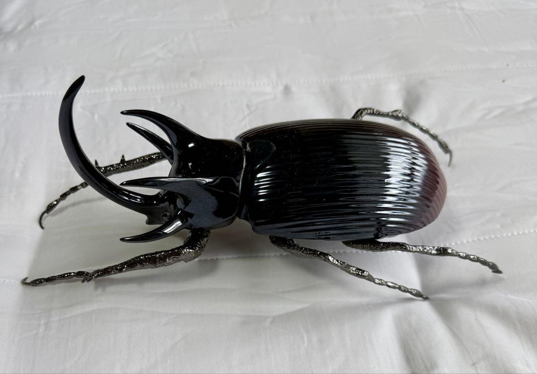 カブトムシ