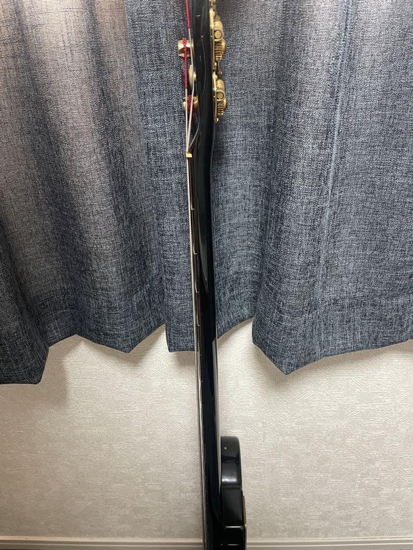 Fernandes PERSONZ 渡邉貢モデル TEB-75MW