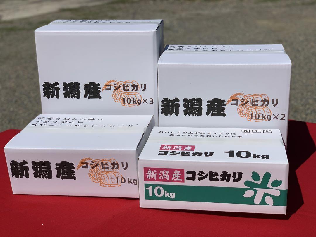 新米・令和6年産玄米新潟新之助　30kg（10kg×3）精米無料★農家直送04