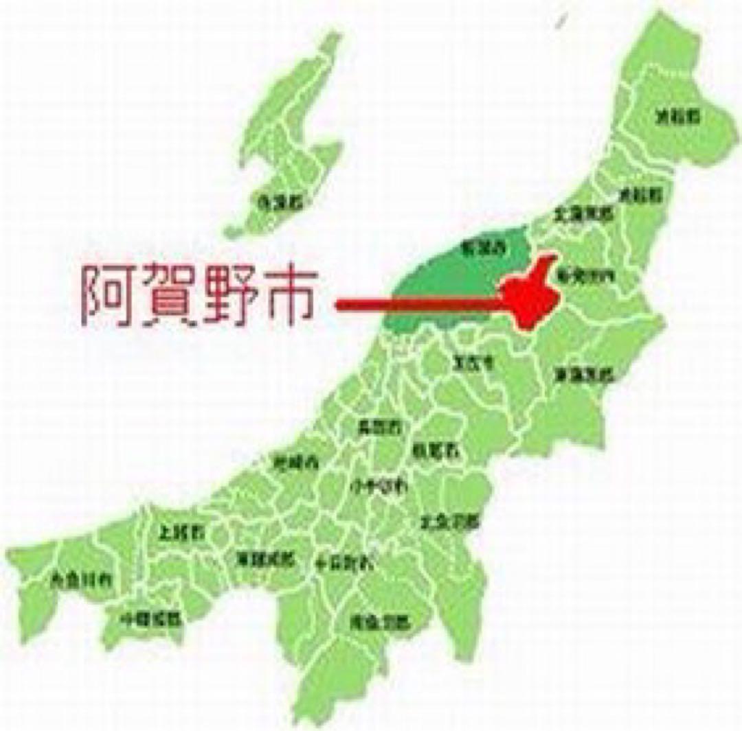 新米・令和6年産玄米新潟新之助　30kg（10kg×3）精米無料★農家直送04