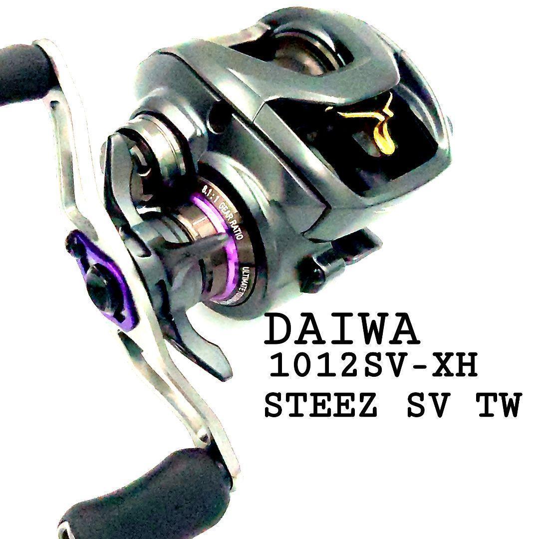 希少！ ダイワ スティーズ STEEZ SV TW 1012SV-XH