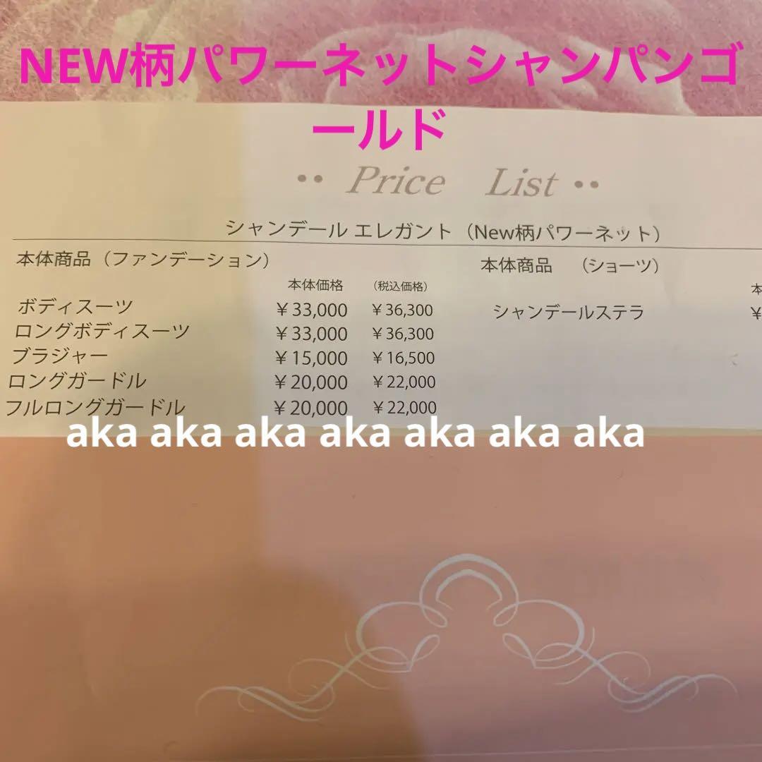 シャンデールNEW柄パワーネットシャンパンゴールドW98新品未使用