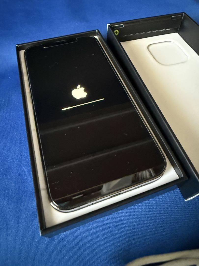 Apple iPhone13 Pro グラファイト(中古です、パネル交換済)