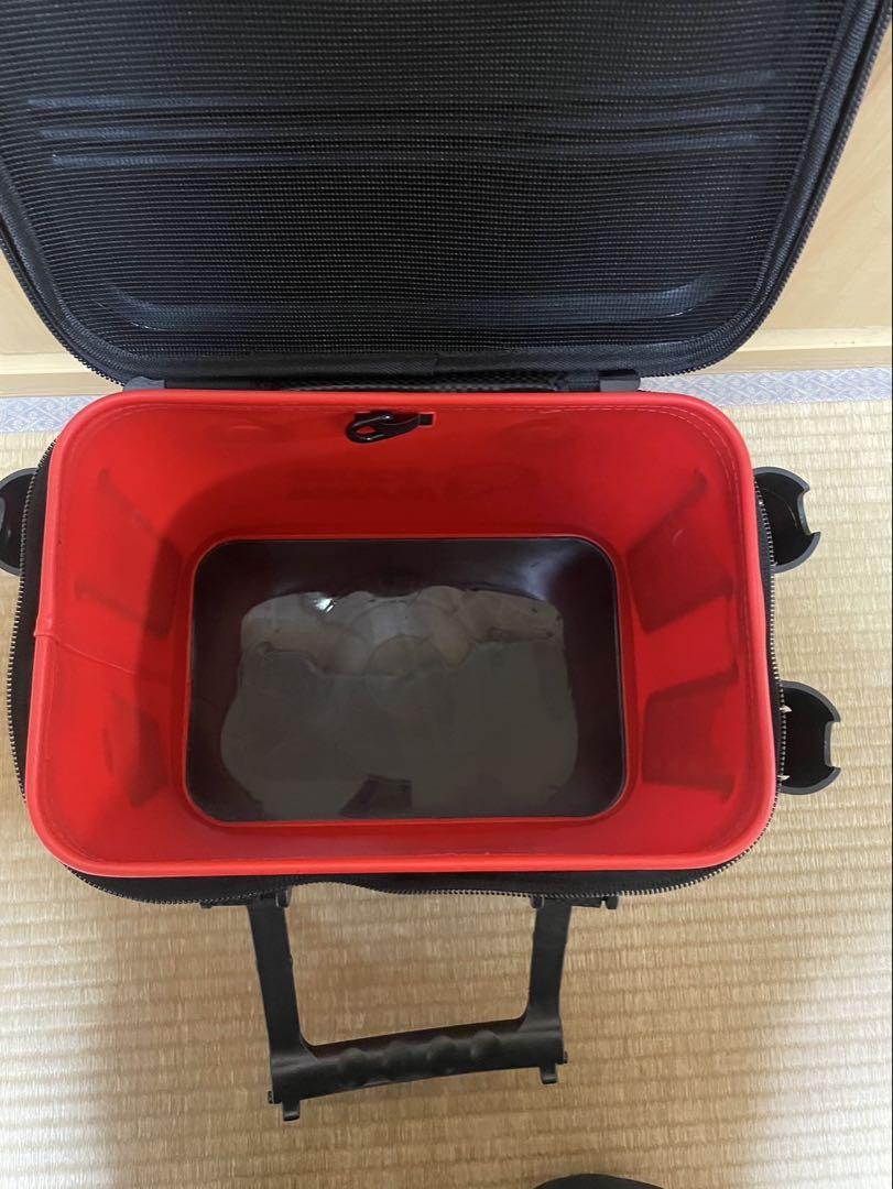 スクイッドマニア　バッカン
