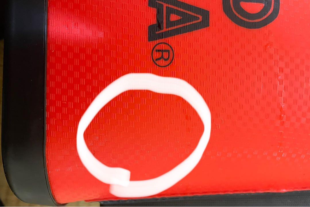 スクイッドマニア　バッカン