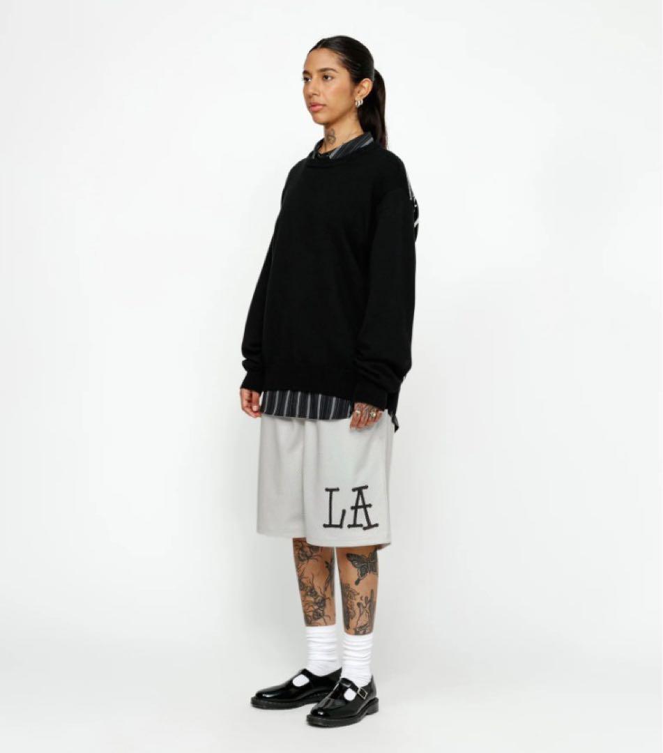 stussy mesh short LAステューシー メッシュ ショーツ