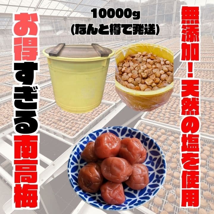 ▲人気爆発！紀州南高梅 樽 10kg かわあつ梅 無添加 和歌山 紀州 白梅 0