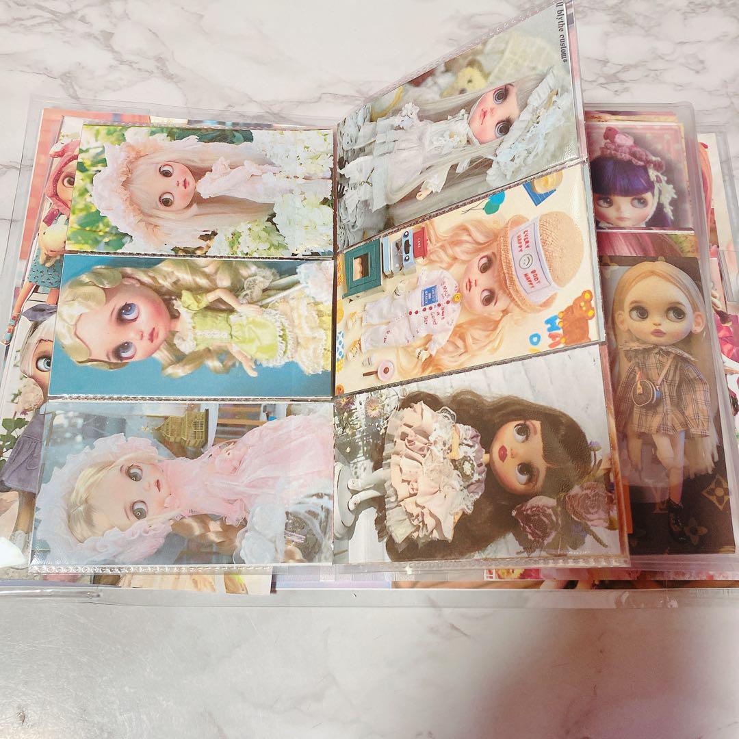 ドールおすそ分けファイル♥️メモたっぷり♥️バイブルサイズ