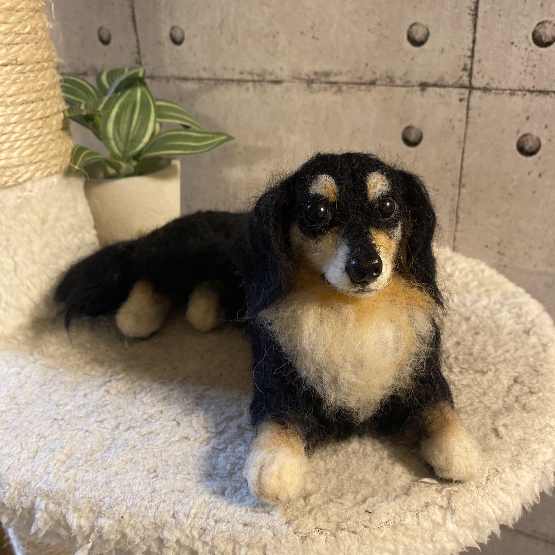 羊毛フェルト　ミニチュアダックス　犬