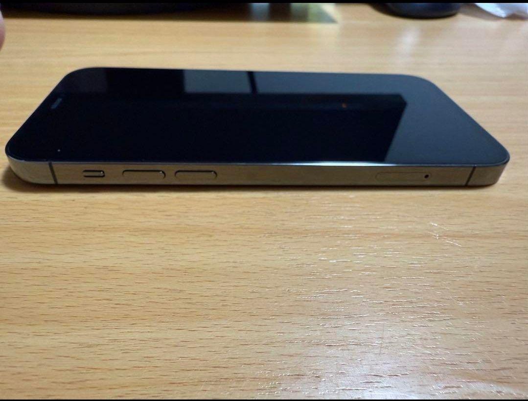 Apple iPhone 12 Pro グラファイト